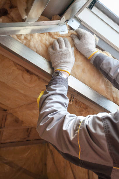 Best Spray Foam Insulation in Griggsvle, IL