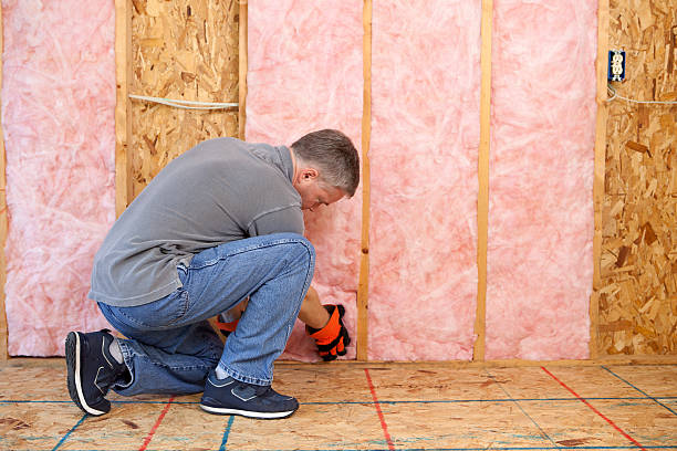Best Blown-in Insulation in Griggsvle, IL