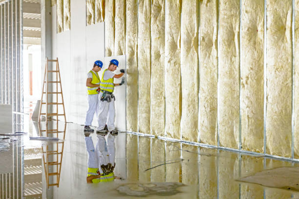 Best Cellulose Insulation in Griggsvle, IL